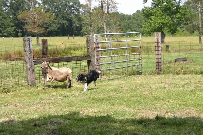 Click to see next picture