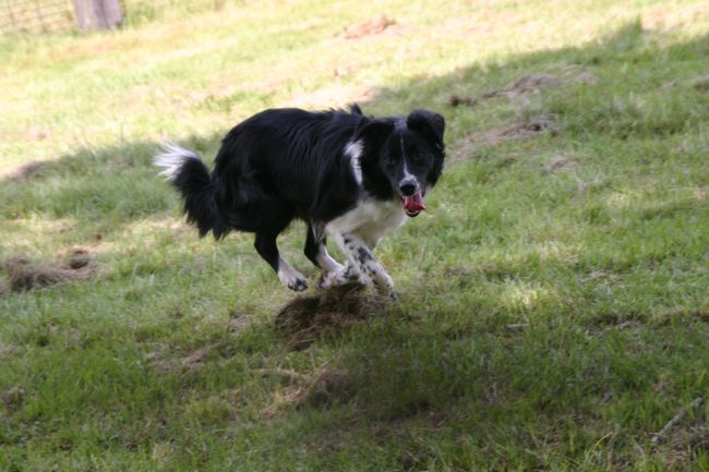 Click to see next picture