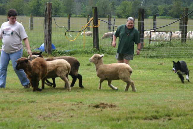 Click to see next picture