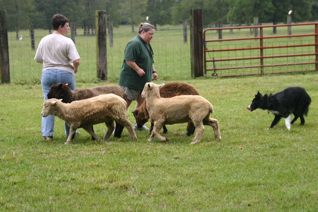 Click to see next picture