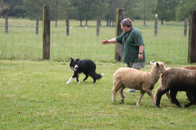 Click to see next picture