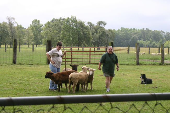 Click to see next picture