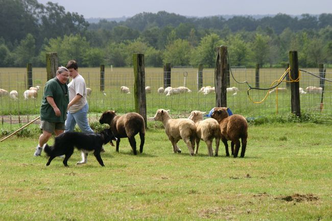 Click to see next picture