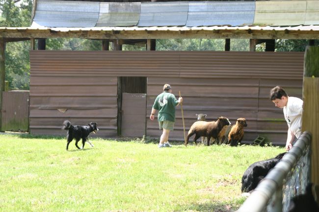 Click to see next picture