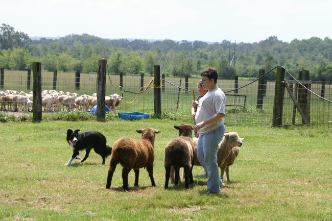 Click to see next picture