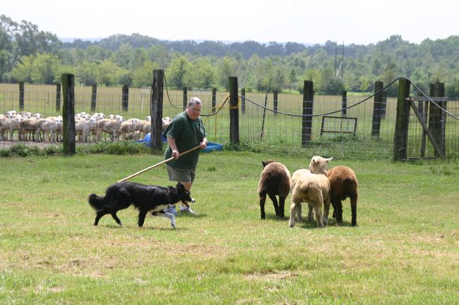 Click to see next picture