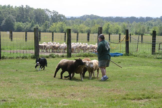 Click to see next picture