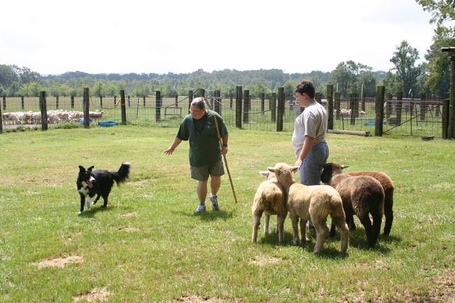 Click to see next picture