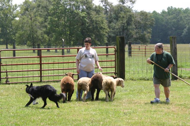 Click to see next picture