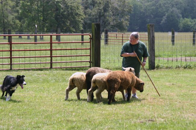 Click to see next picture