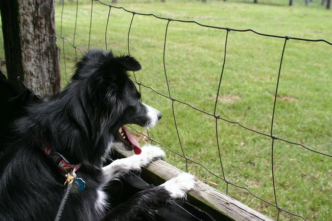 Click to see next picture