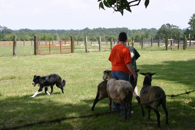 Click to see next picture