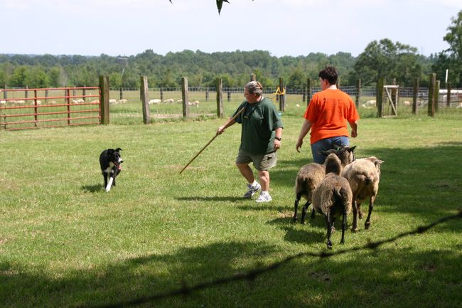 Click to see next picture