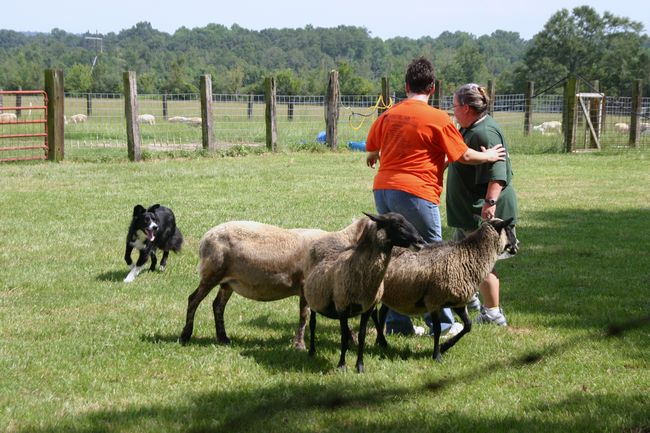 Click to see next picture