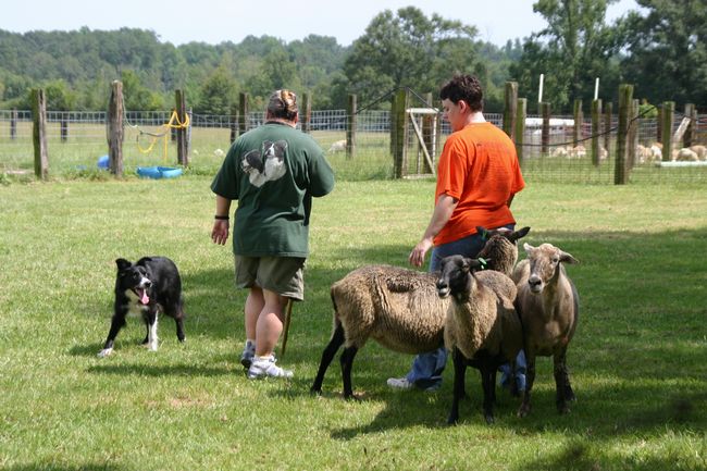 Click to see thumbs page