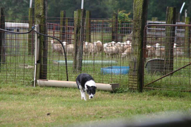 Click to see next picture