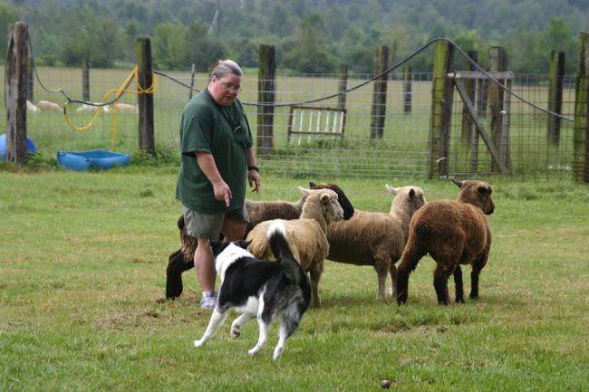 Click to see next picture