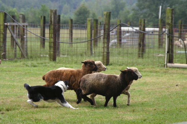 Click to see next picture