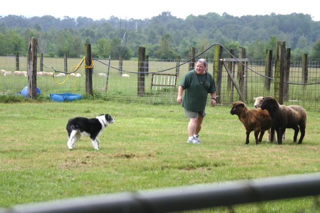 Click to see next picture