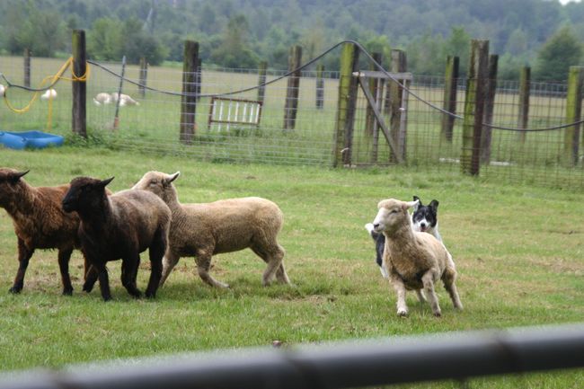 Click to see next picture