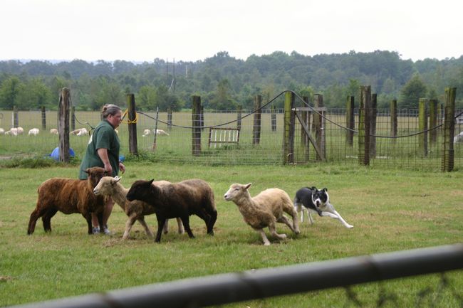 Click to see next picture