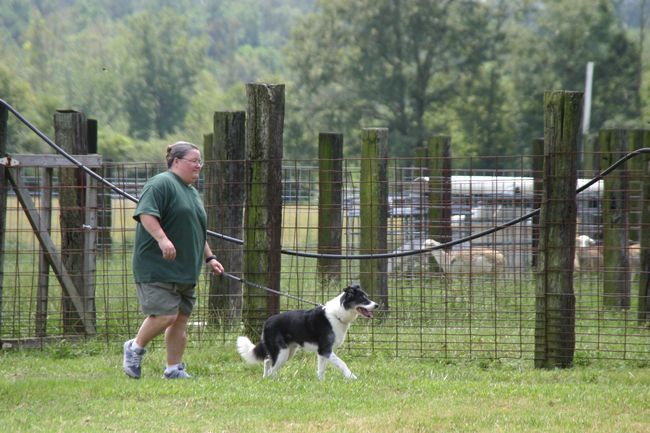 Click to see next picture