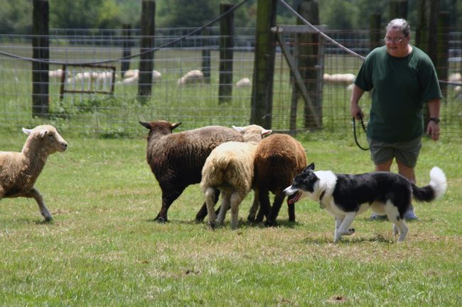 Click to see next picture