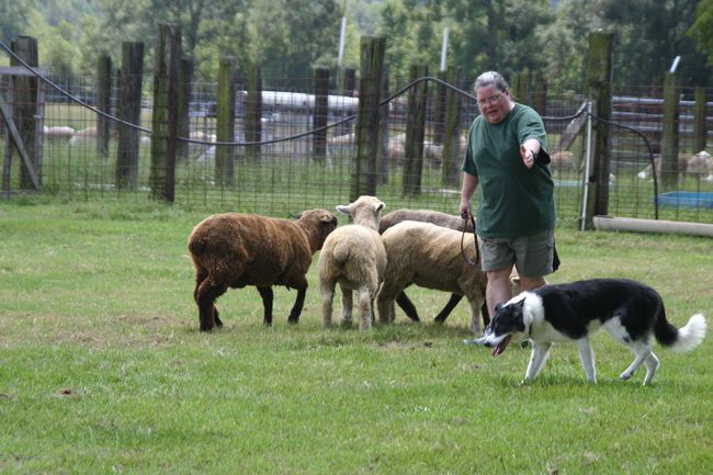 Click to see next picture