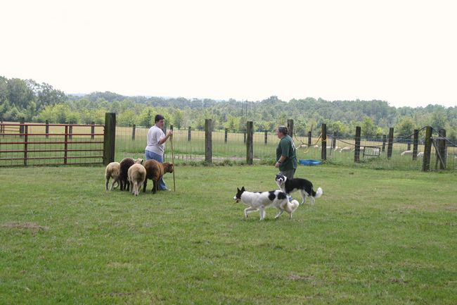 Click to see next picture