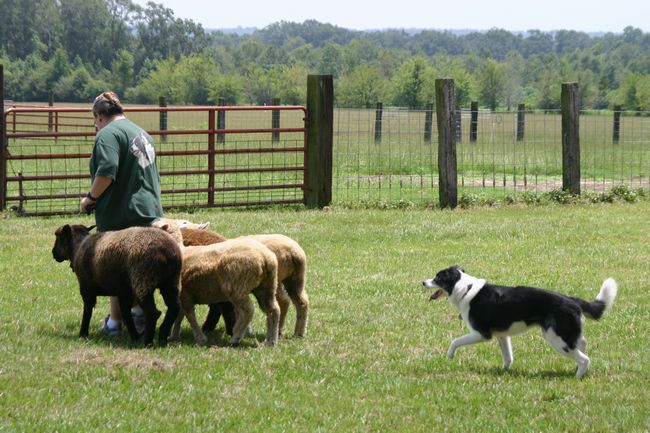 Click to see next picture