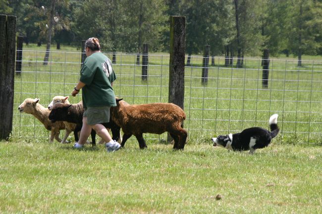 Click to see thumbs page