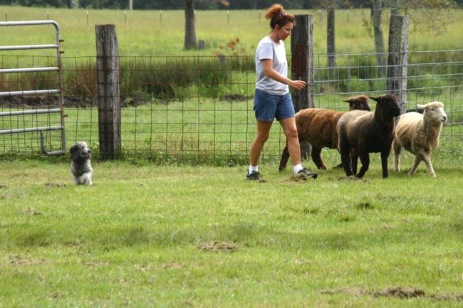 Click to see next picture