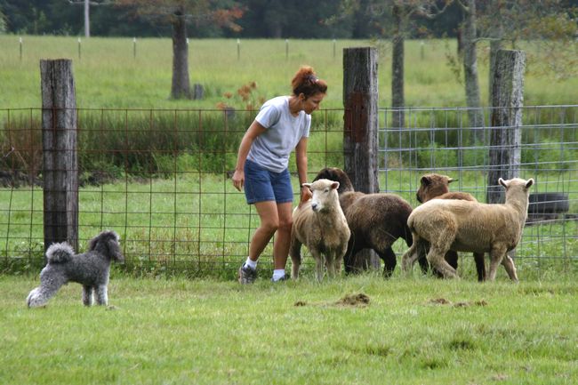 Click to see next picture