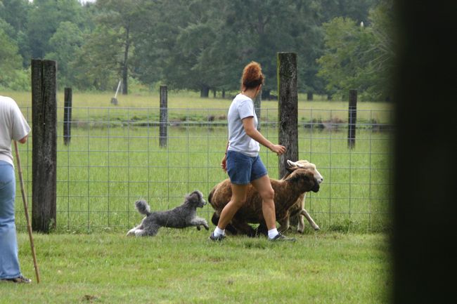 Click to see next picture