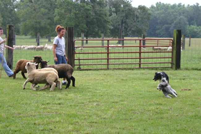 Click to see next picture