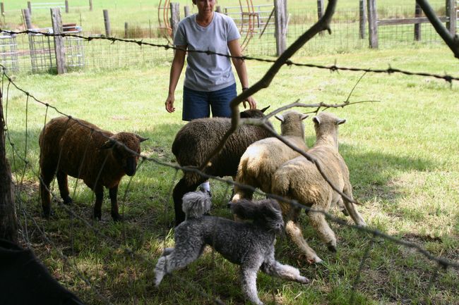 Click to see next picture