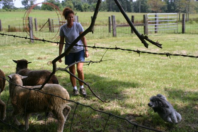 Click to see next picture