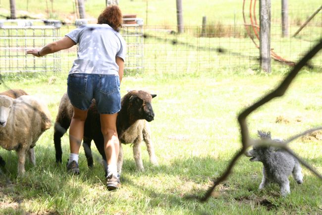 Click to see next picture