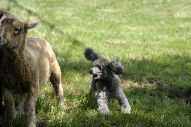 Click to see next picture