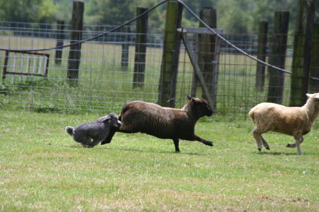 Click to see next picture