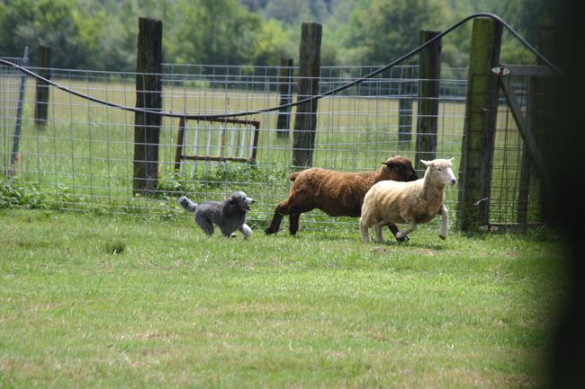 Click to see next picture