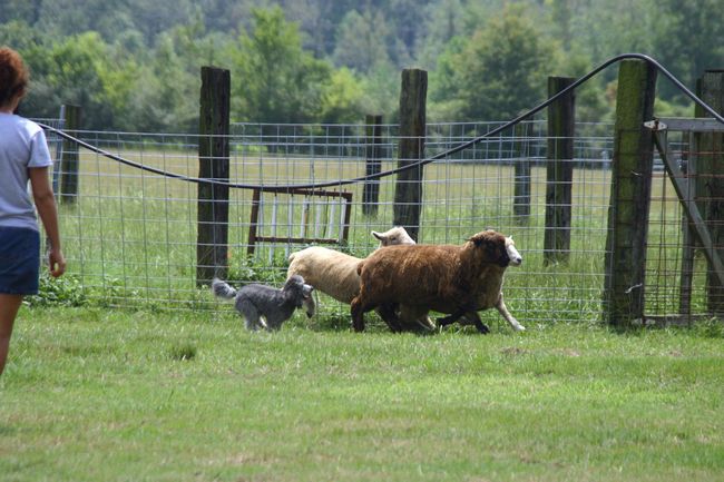 Click to see thumbs page