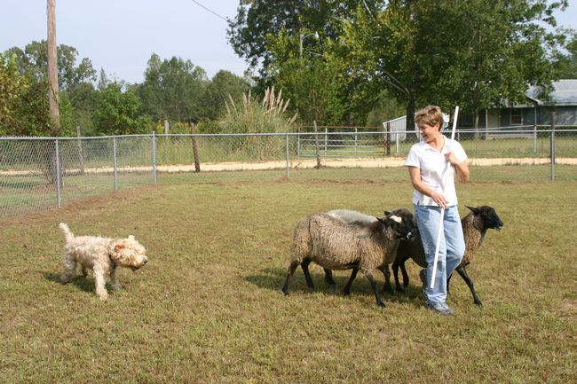 Click to see next picture