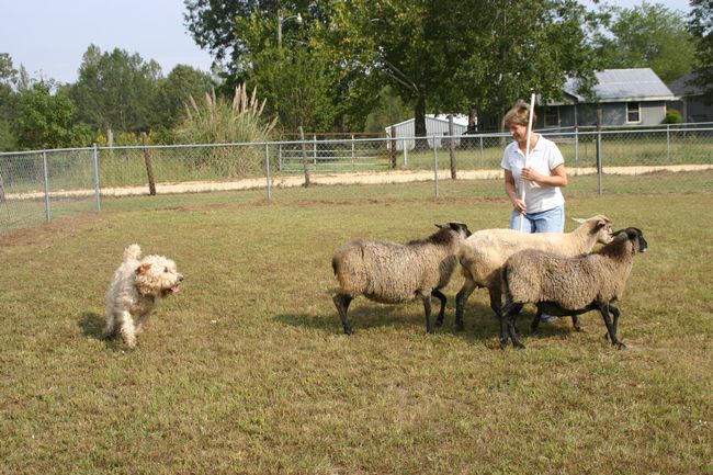 Click to see next picture