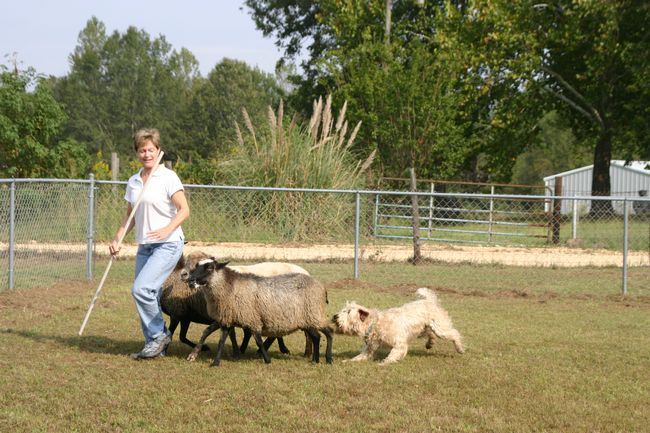 Click to see next picture