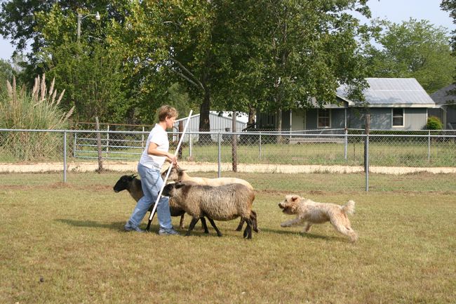 Click to see next picture