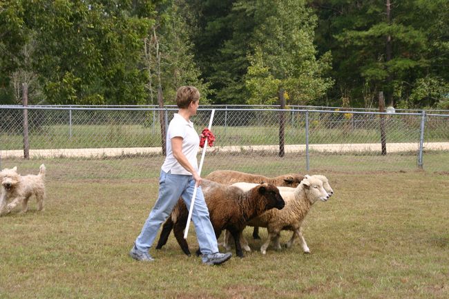 Click to see next picture