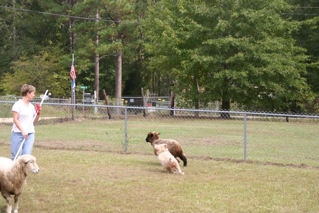 Click to see next picture