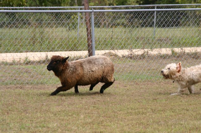 Click to see next picture