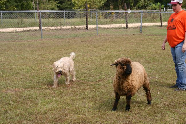 Click to see next picture